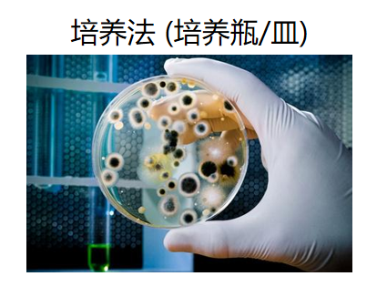 告别培养基：拉曼光谱如何让微生物鉴定进入“读秒”时代？