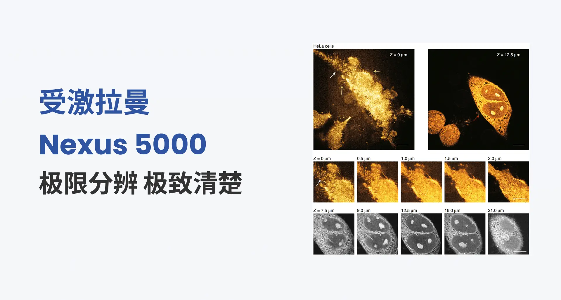 Nexus 5000 - 极限分辨 极致清楚