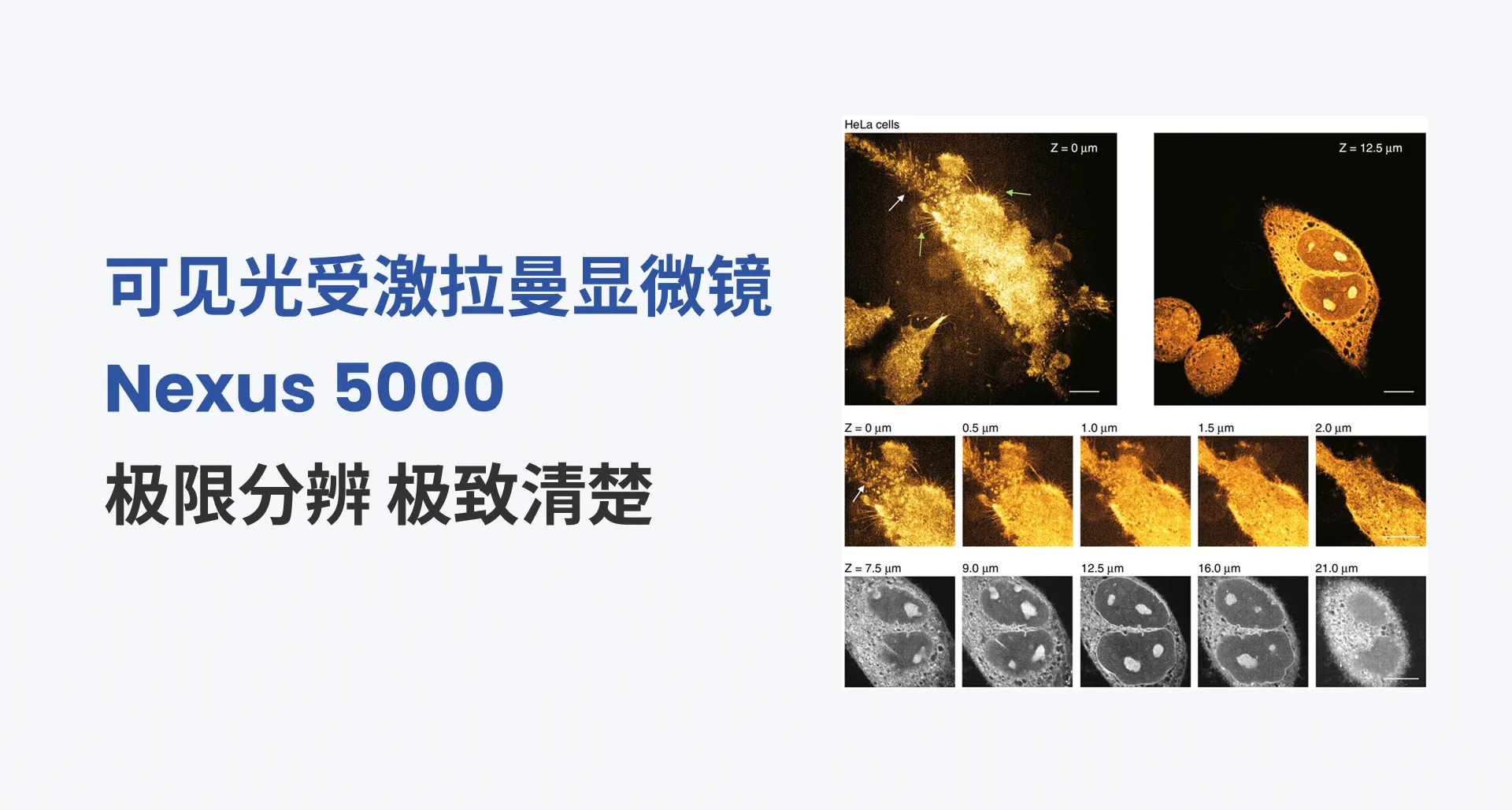 Nexus 5000 - 极限分辨 极致清楚